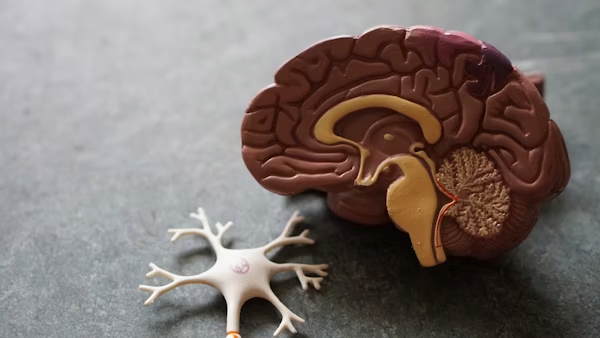 Neuromodulação